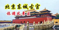 搞基操逼淫叫大奶子自慰喷水扣逼中国北京-东城古宫旅游风景区